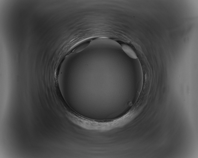 X0000087010048200704161549