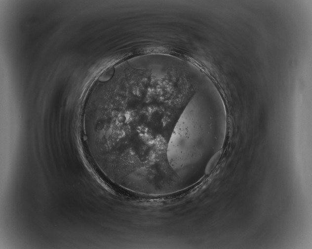 X0000087010049200704161549
