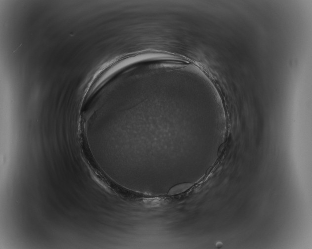 X0000087010050200704161549