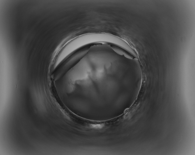 X0000087010053200704161549