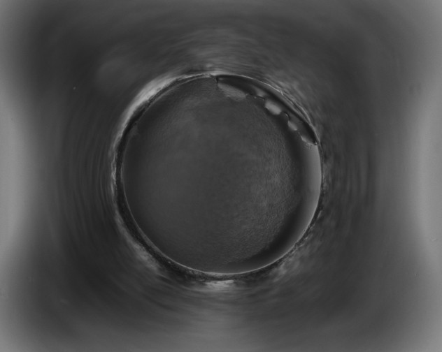 X0000087010054200704161549
