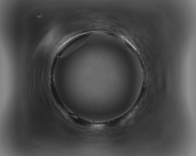 X0000087010055200704161549