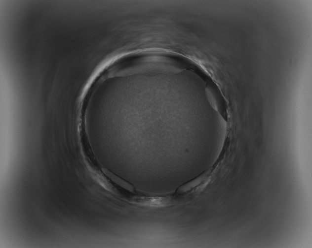 X0000087010056200704161549