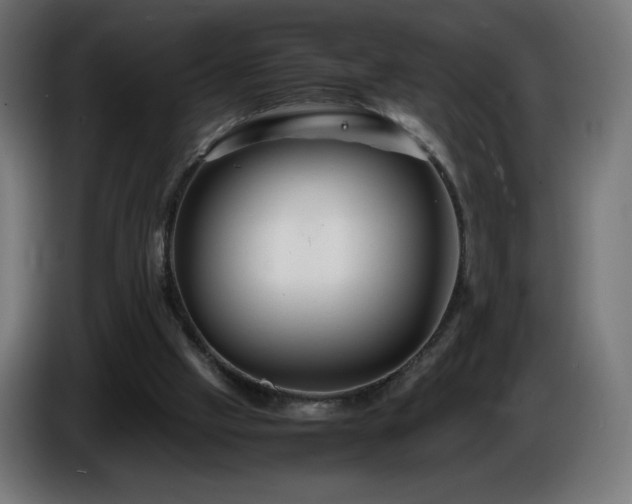 X0000087010057200704161549
