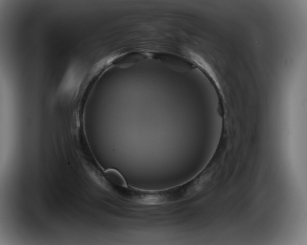 X0000087010059200704161549