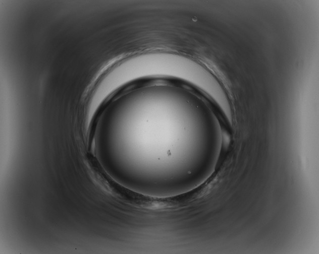 X0000087010060200704161549
