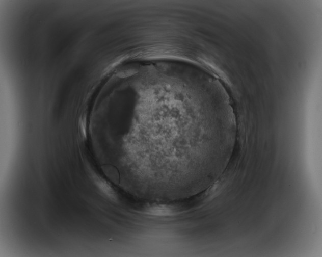 X0000087010062200704161549