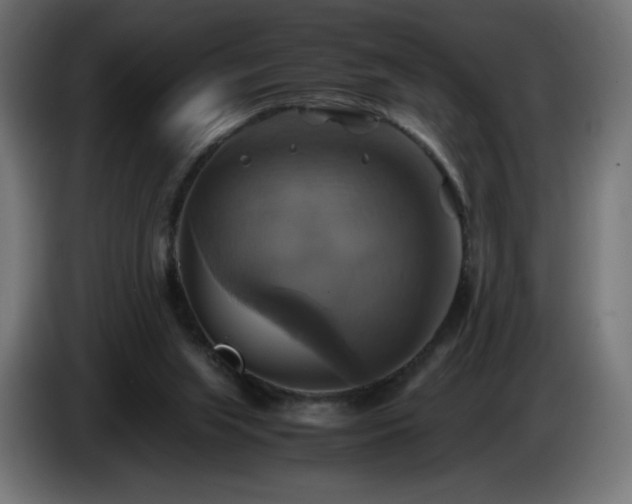 X0000087010063200704161549