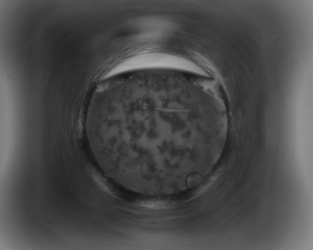 X0000087010065200704161549