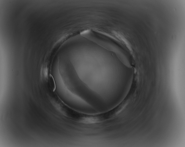 X0000087010067200704161549