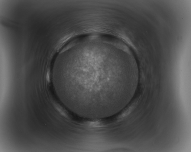 X0000087010068200704161549