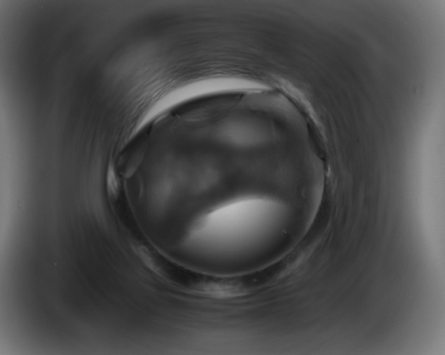 X0000087010069200704161549