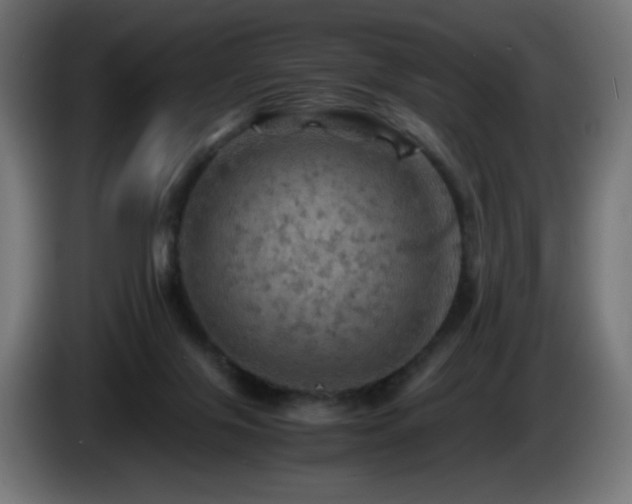 X0000087010071200704161549