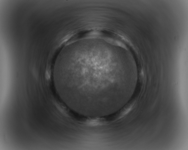 X0000087010072200704161549