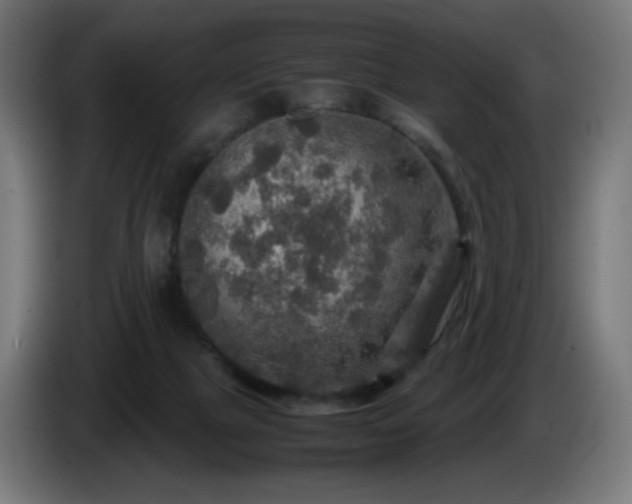 X0000087010073200704161549