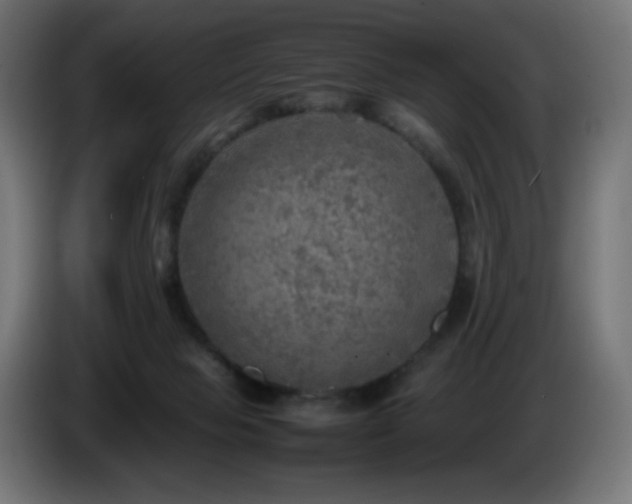 X0000087010077200704161549