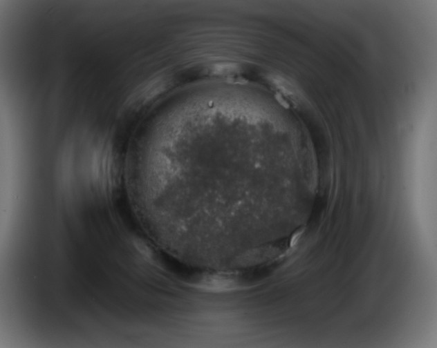 X0000087010078200704161549
