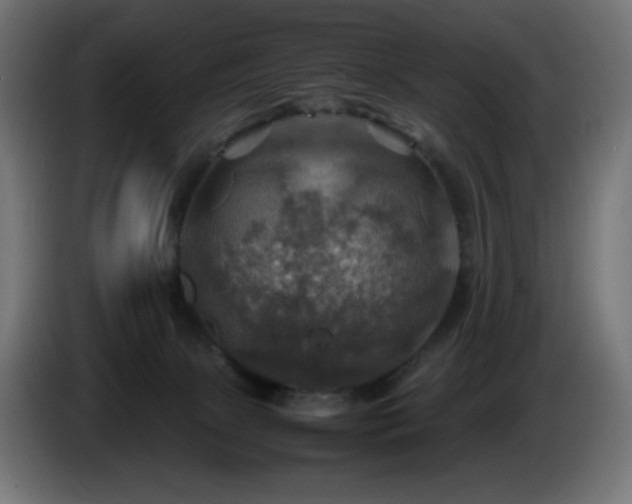 X0000087010081200704161549