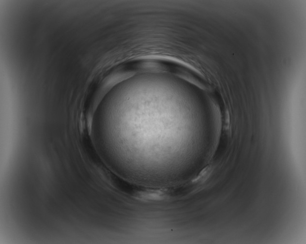 X0000087010086200704161549