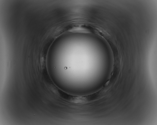 X0000087010087200704161549