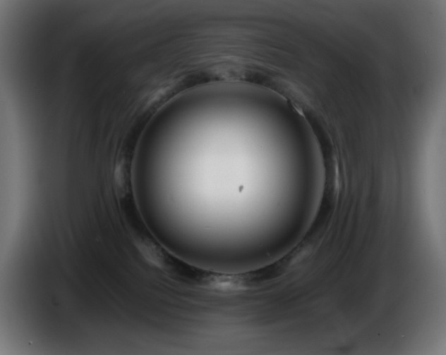 X0000087010088200704161549