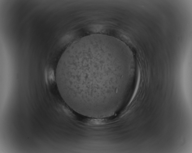 X0000087010089200704161549