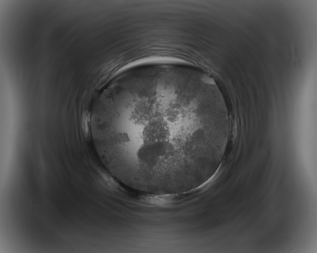 X0000087010094200704161549