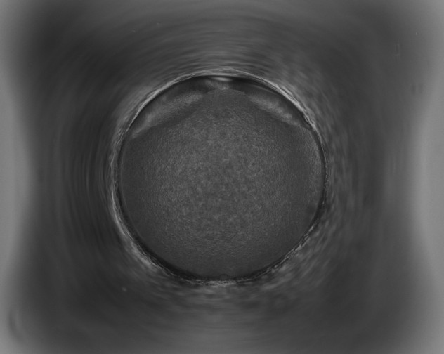 X0000087010097200704161549