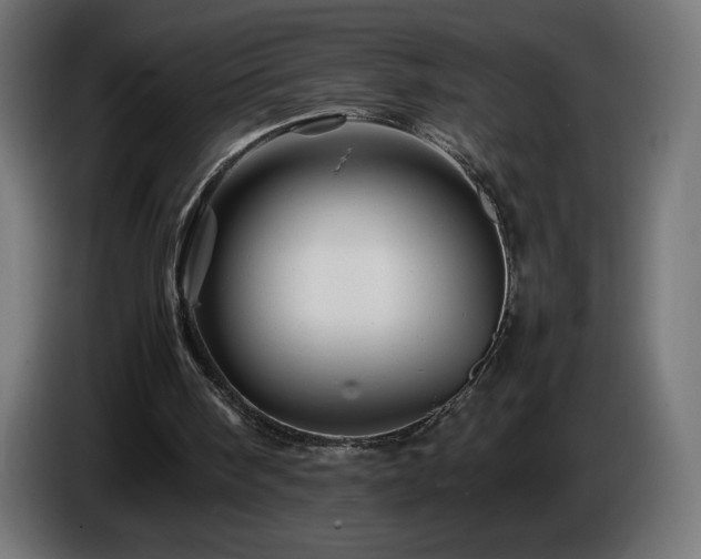 X0000087010098200704161549