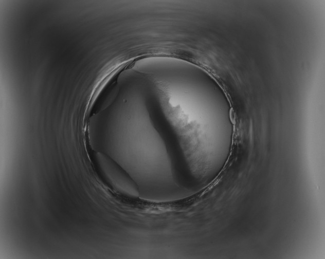 X0000087010099200704161549