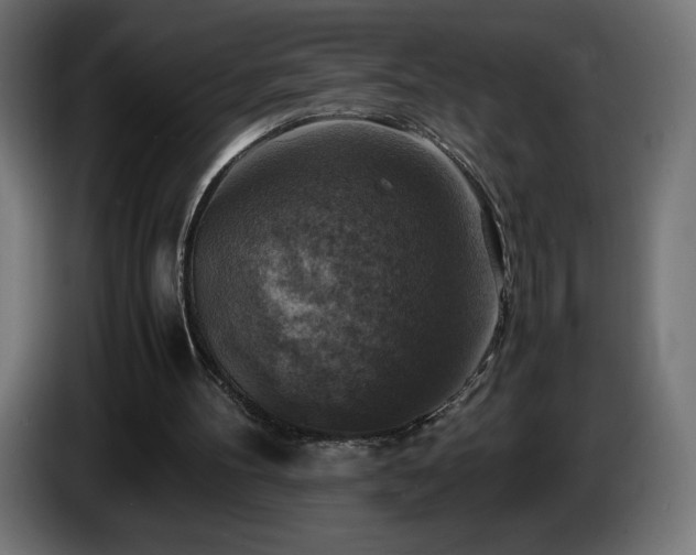 X0000087010100200704161549