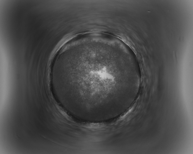 X0000087010101200704161549