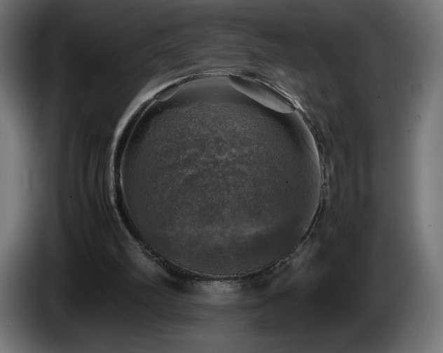 X0000087010102200704161549