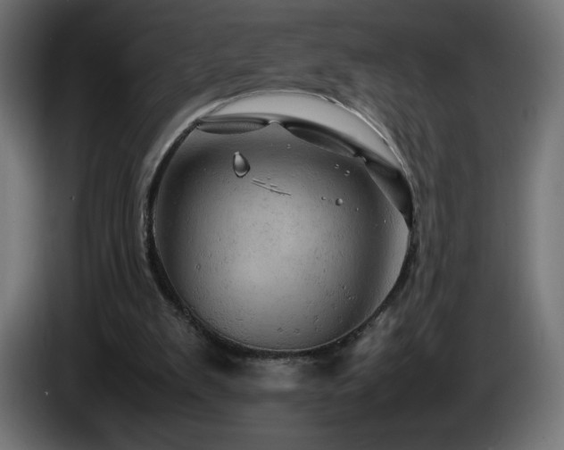 X0000087010103200704161549