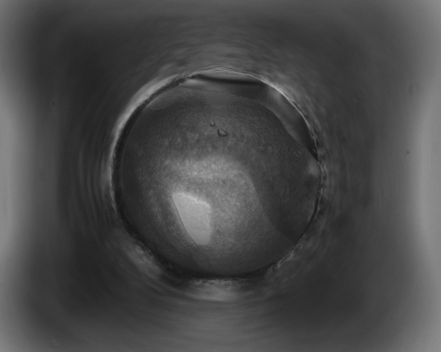 X0000087010104200704161549