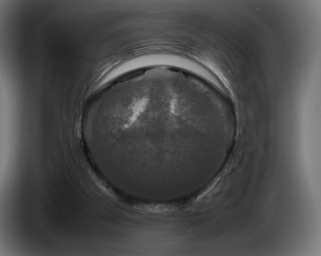 X0000087010105200704161549