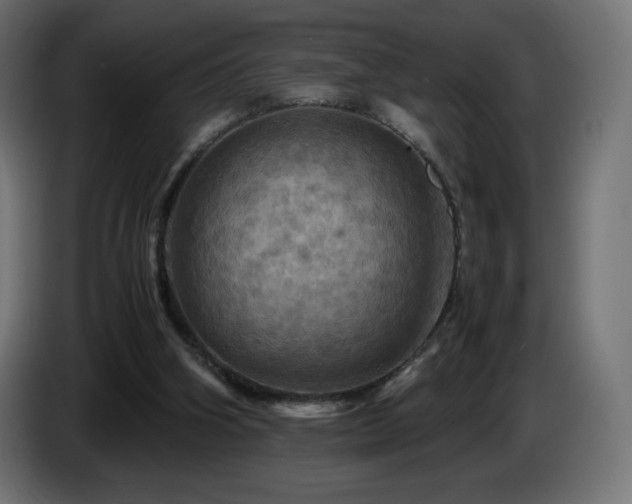 X0000087010106200704161549