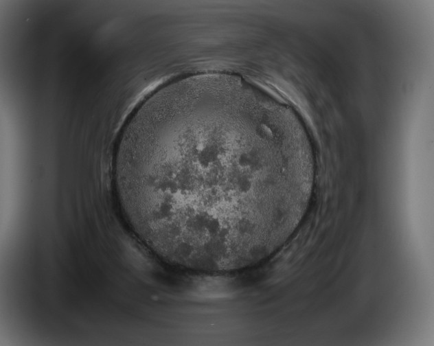 X0000087010107200704161549