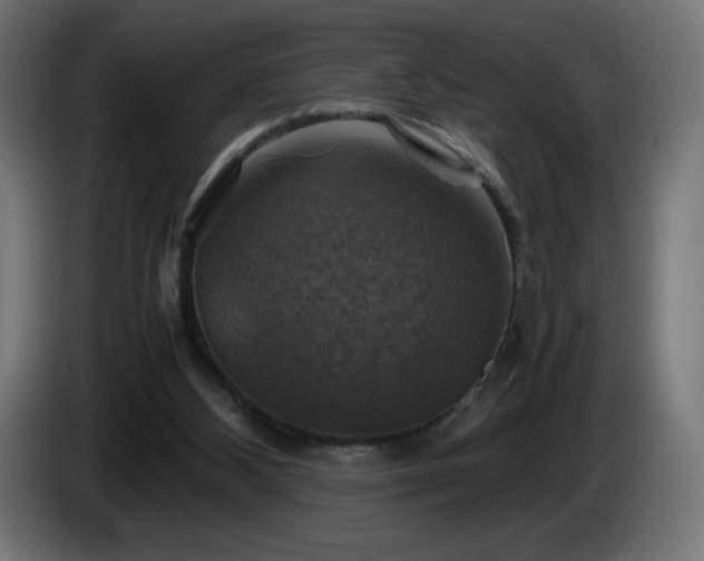 X0000087010108200704161549