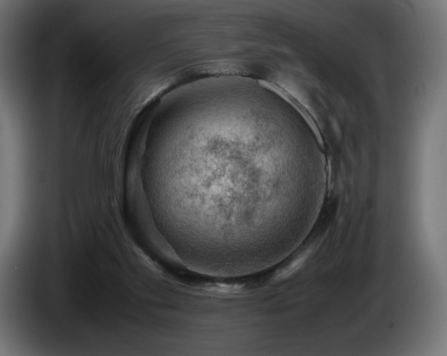 X0000087010109200704161549