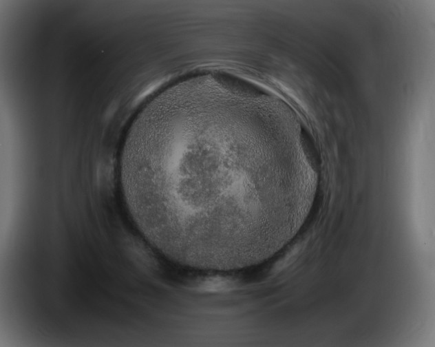 X0000087010111200704161549