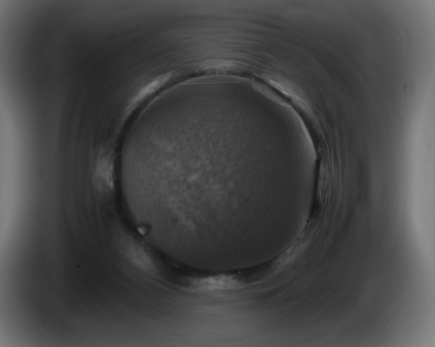 X0000087010112200704161549