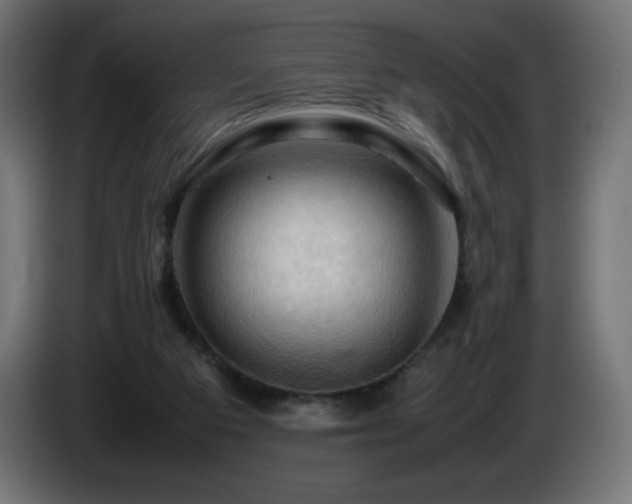 X0000087010113200704161549