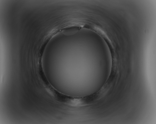 X0000087010114200704161549