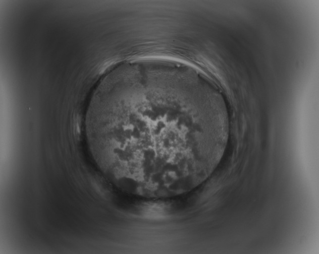 X0000087010115200704161549