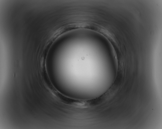 X0000087010118200704161549