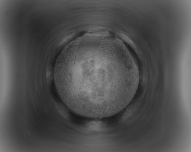 X0000087010119200704161549