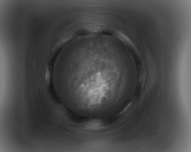X0000087010124200704161548