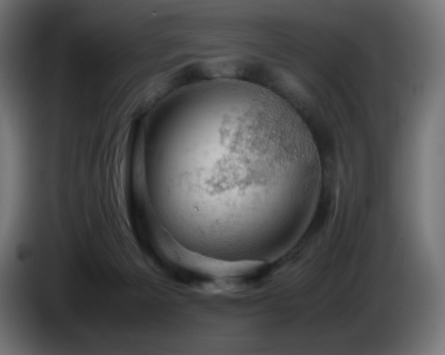 X0000087010125200704161548