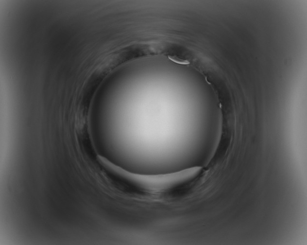 X0000087010129200704161548
